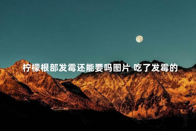 柠檬根部发霉还能要吗图片 吃了发霉的甘蔗怎么补救